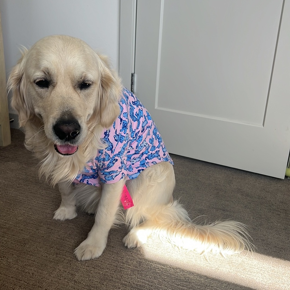 Lilly Pulitzer dog pajamas in fun dog print! New with tags. - Picture 4 of 6